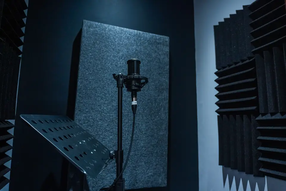 Microphone in the acoustically treated Santoori vocal booth